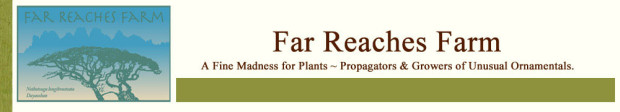 Far Reaches Farm-header_bg