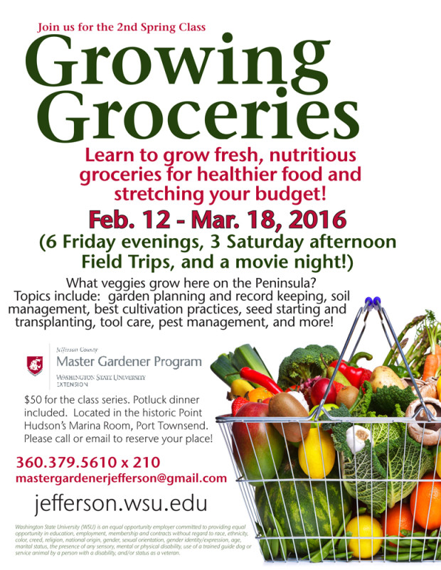 Growing-Groceries-spring 2016 flyer - 2nd version